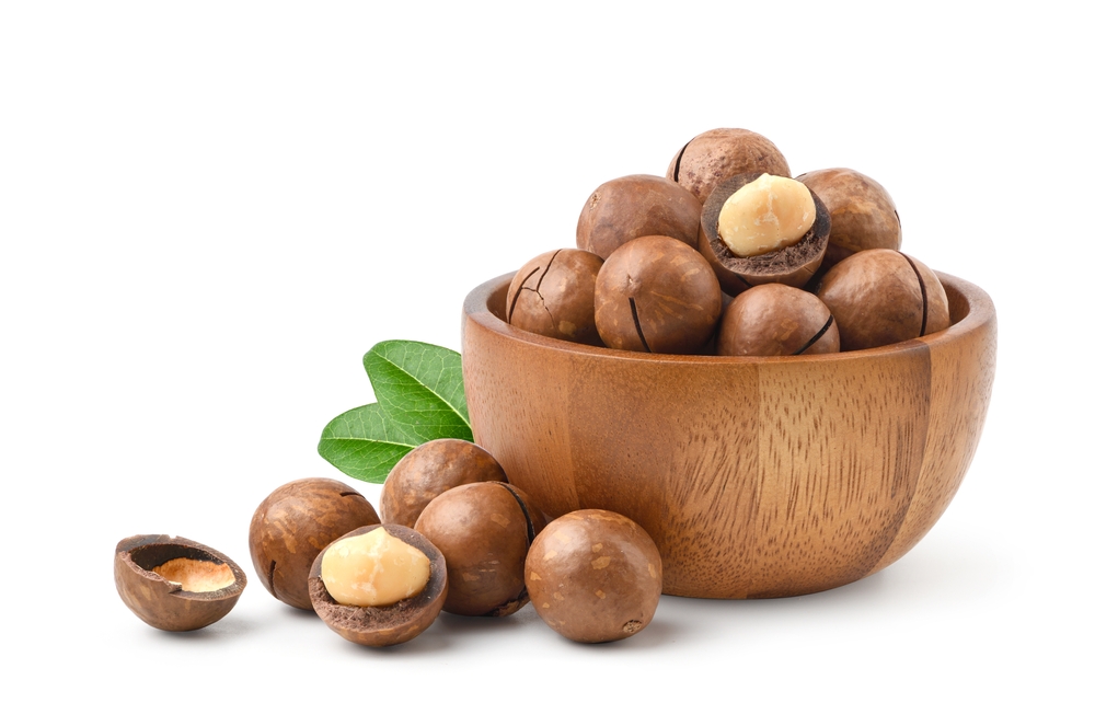 Macadamia